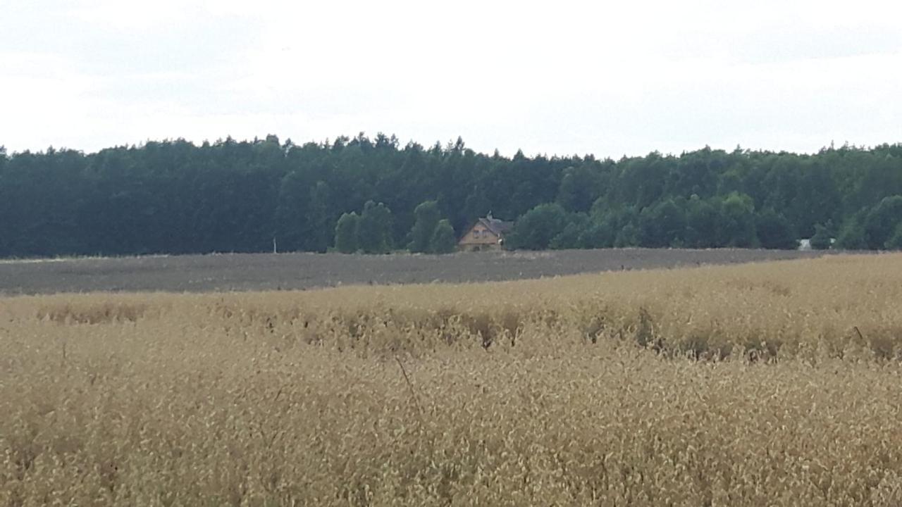 Winnica Debogora Dobiegniew Bagian luar foto