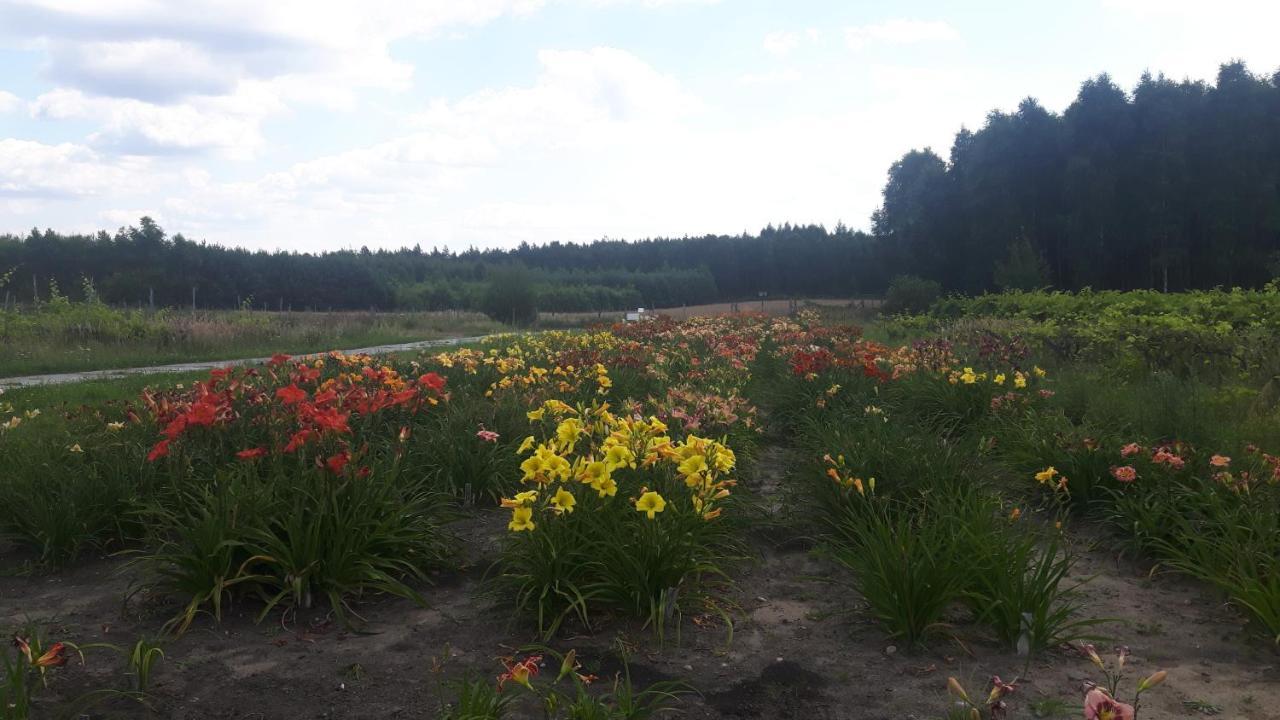 Winnica Debogora Dobiegniew Bagian luar foto