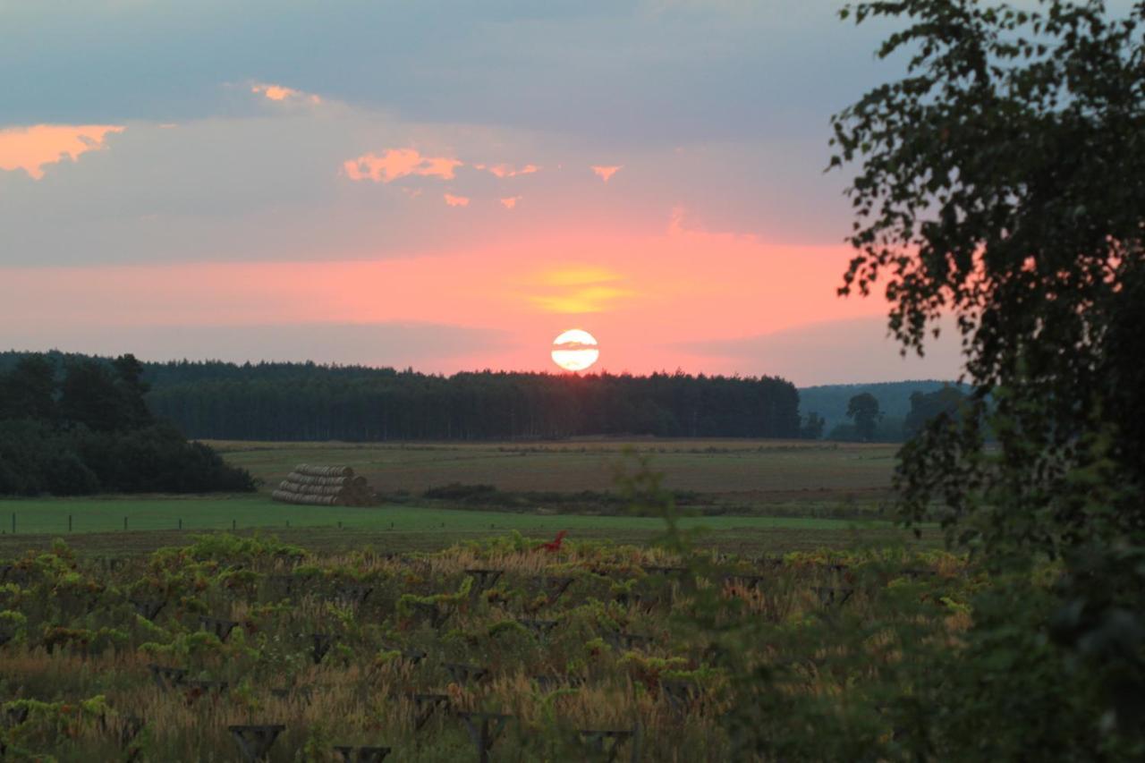 Winnica Debogora Dobiegniew Bagian luar foto