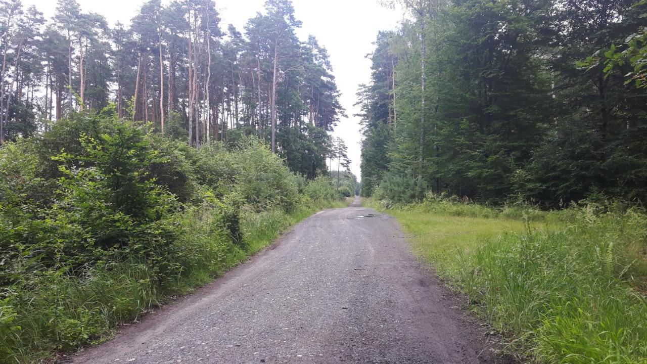 Winnica Debogora Dobiegniew Bagian luar foto